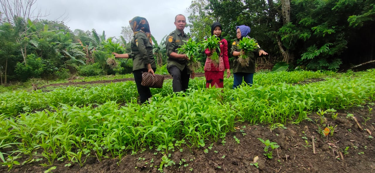 WhatsApp Image 2023 02 09 at 16.47.42 1