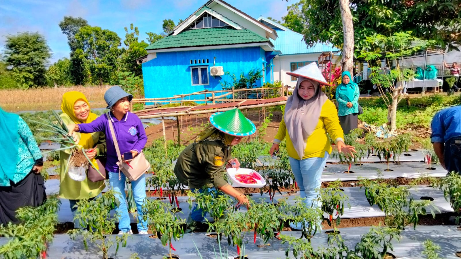 WhatsApp Image 2023 03 30 at 13.19.07