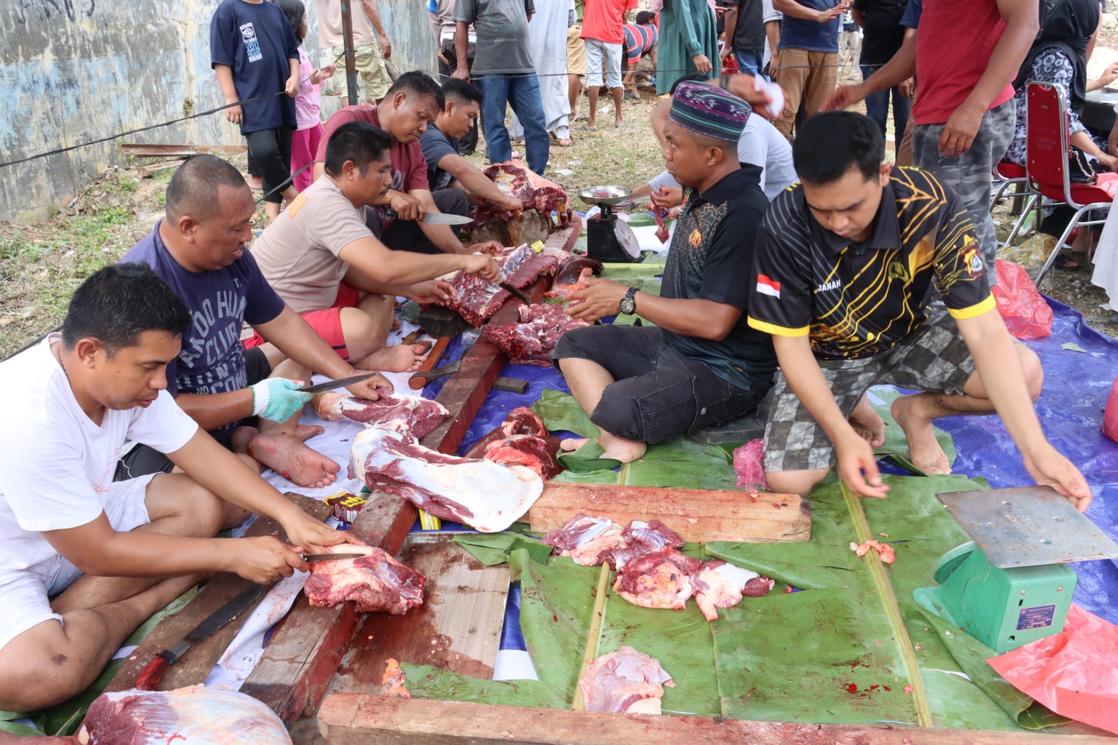 WhatsApp Image 2023 06 29 at 13.57.08 1