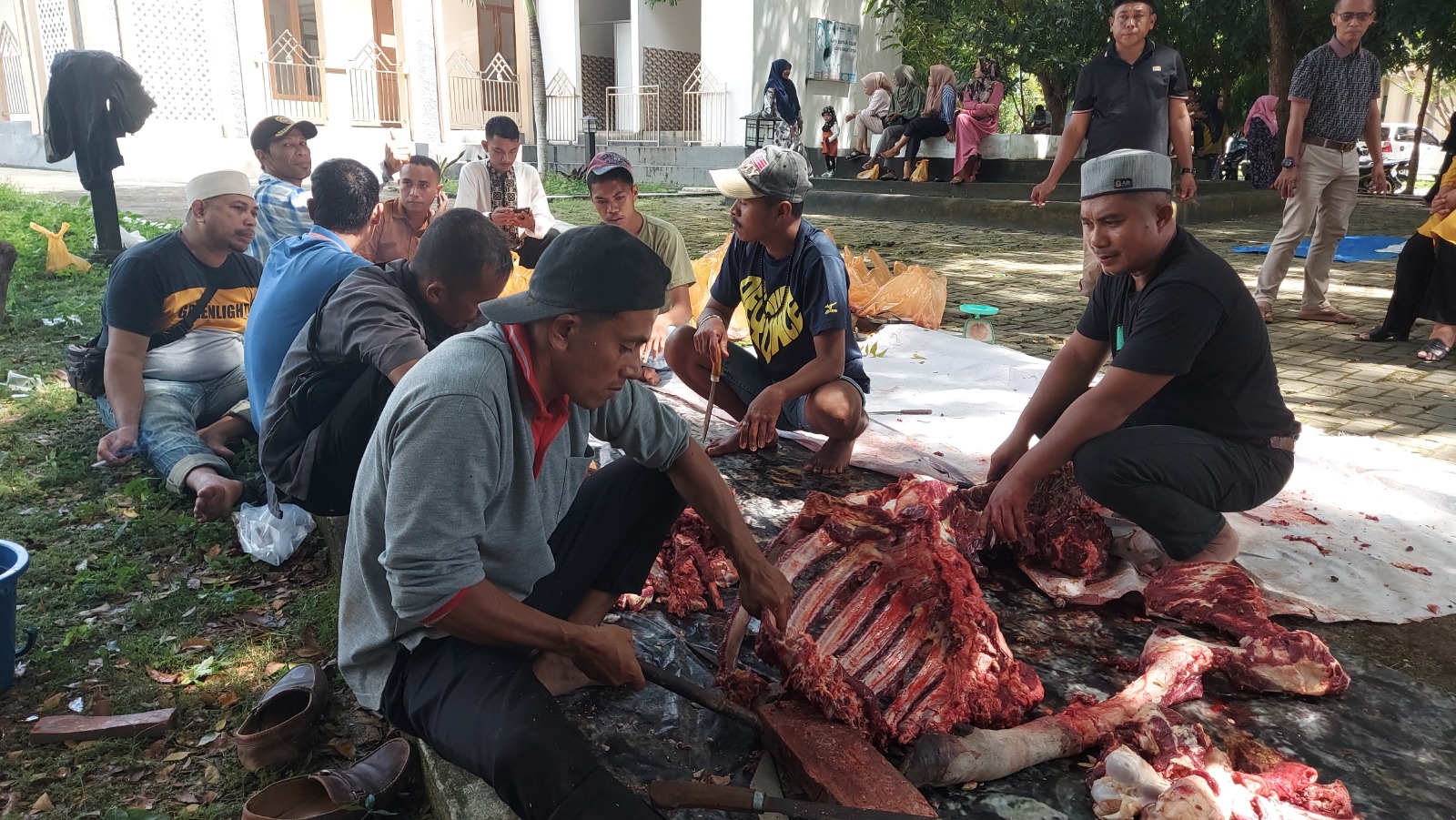 WhatsApp Image 2024 06 18 at 14.10.08