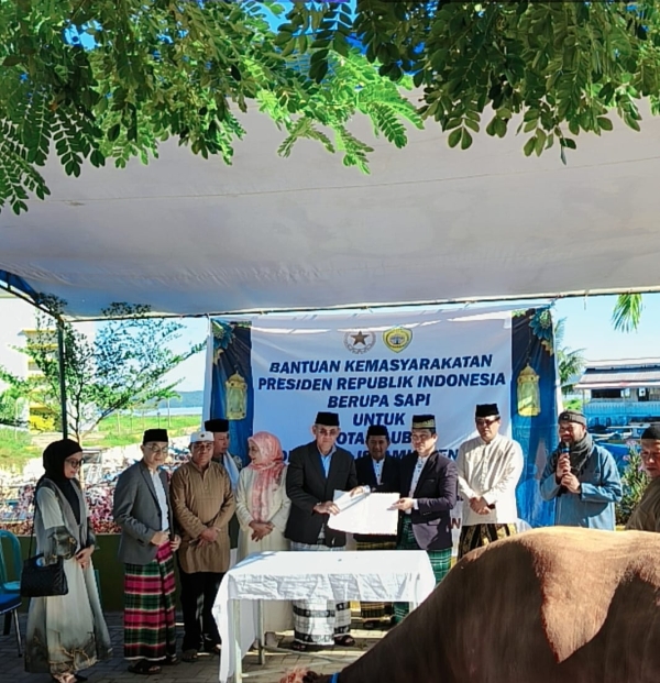 Wali Kota Baubau, H Yusran Fahim saat menyerahkan sapi kurban Presiden Prabowo kepada pengurus mesjid Islamic Center
