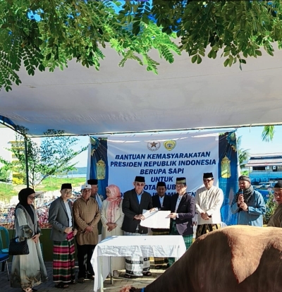 Wali Kota Baubau, H Yusran Fahim saat menyerahkan sapi kurban Presiden Prabowo kepada pengurus mesjid Islamic Center