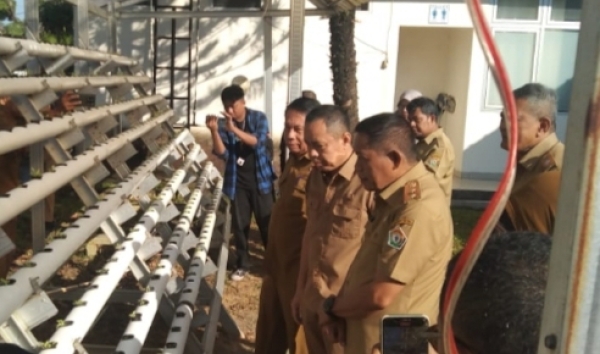 Wagub Sultra, Ir. Hugua didampingi  Kadistanak Sultra, Prof. Muh Taufiq Saat meninjau bibit sawi