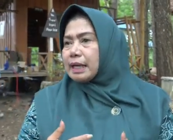 Wa Ode Nursanti Monianse, Ketua TP PKK Kota Baubau