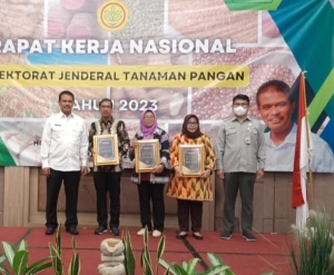 Kadis tanaman pangan dan Peternakan Sultra, drs Muh Djudul,MSi (kedua dari kiri) saat menerima penghargaan dari Dirjen Tanaman pangan bersama peringkat dua dan tiga nasional dalam capaian realisasi anggaran tertinggi 
