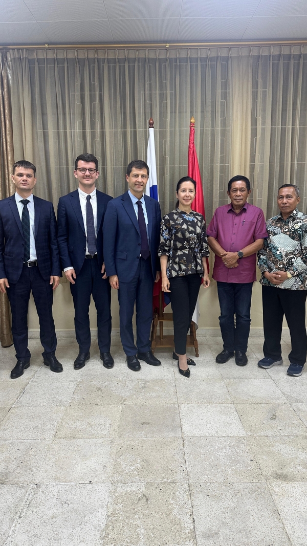 Dewan Energi Nasional Support BUMN Rusia Investasi PLTN di Sultra