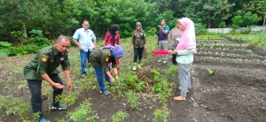 Lokasi Pekarangan Pangan Lestari Kelurahan Kadolokatapi